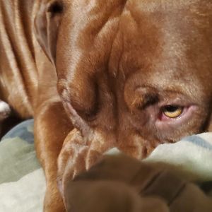 Meet your Posher, Brandon